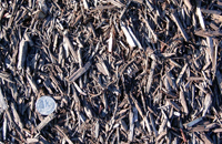 Brown Chip Mulch