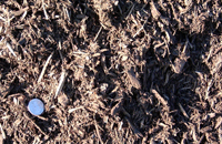 Double Ground Mulch